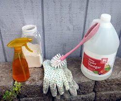 cleaning chicken coop for mites