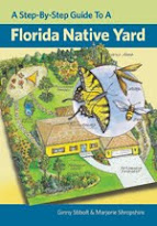 A Step-by-Step Guide to a Florida Native Yard