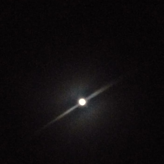 Pada yang Merindu Bulan