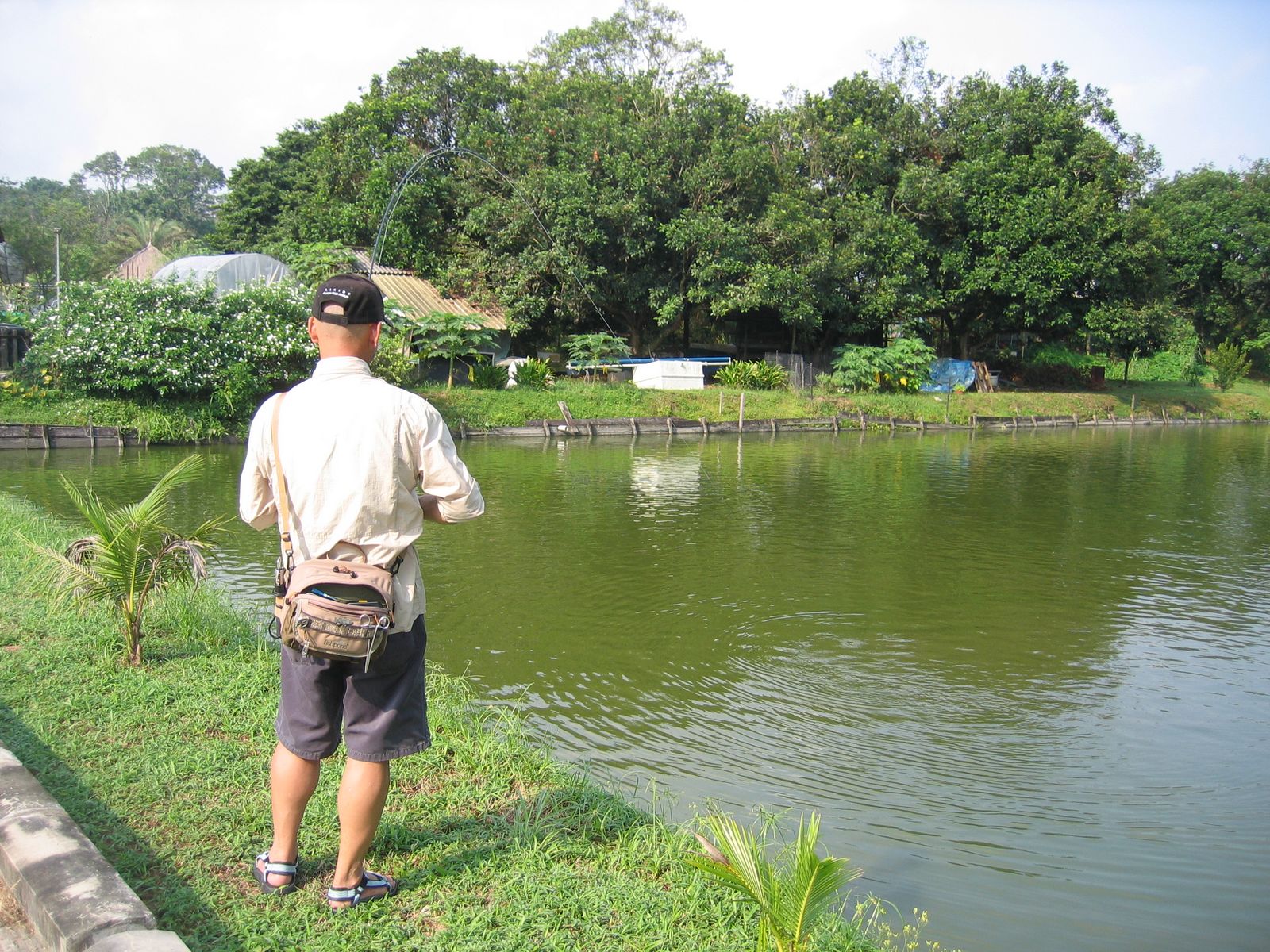 Fly Fishing Journal Yishun Bottle Tree Park