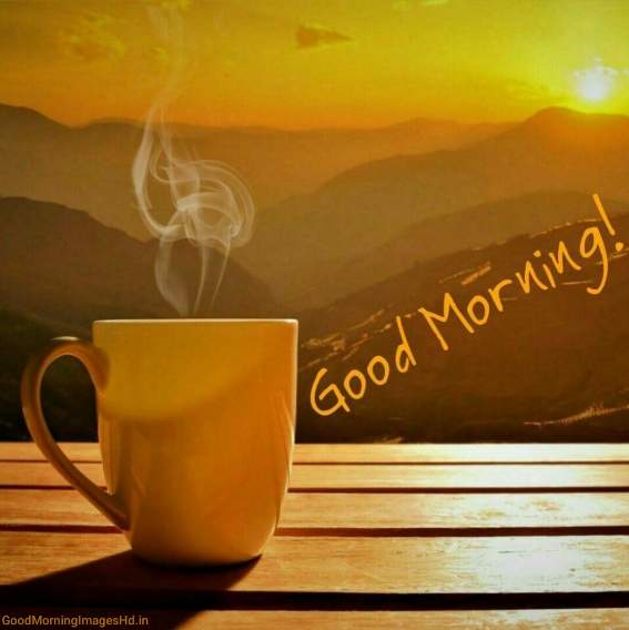 111 Best Coffee Good Morning Images in 2019 Sun rise good morning coffee images