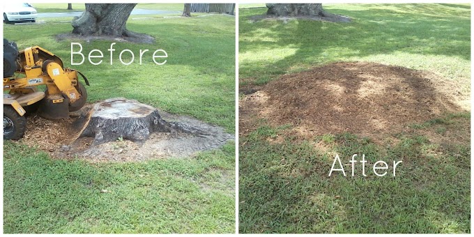 Employ stump removal and grinding services to give your garden a lift