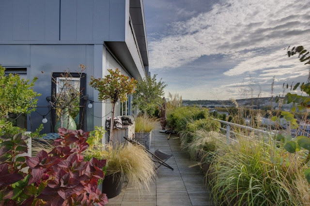 LUMINOSITÉ SUR BLANC