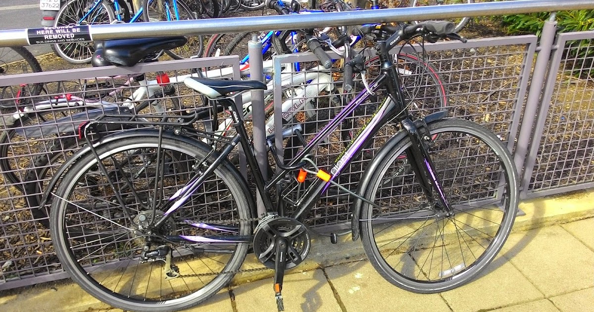 escape bikes ingleton