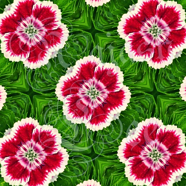 kaleidoscope flowers fayetteville nc