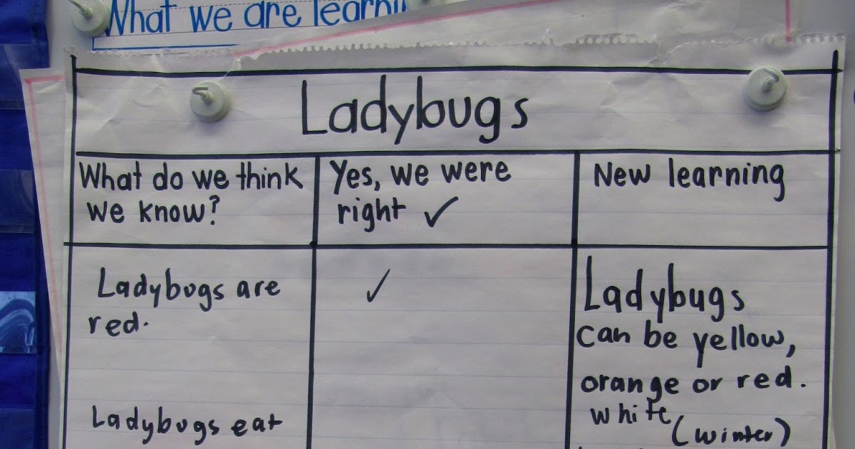 Joyful Learning In KC: Informational Writing