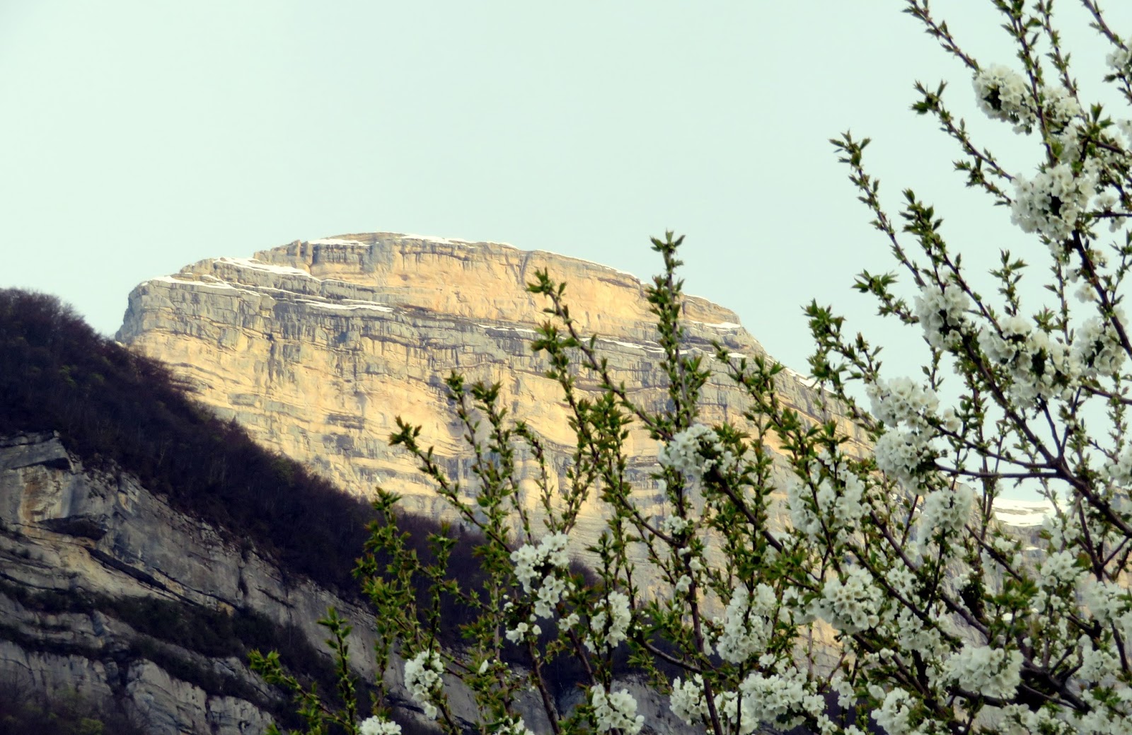 trekking de bernard Des grenouilles et le temps se brouille
