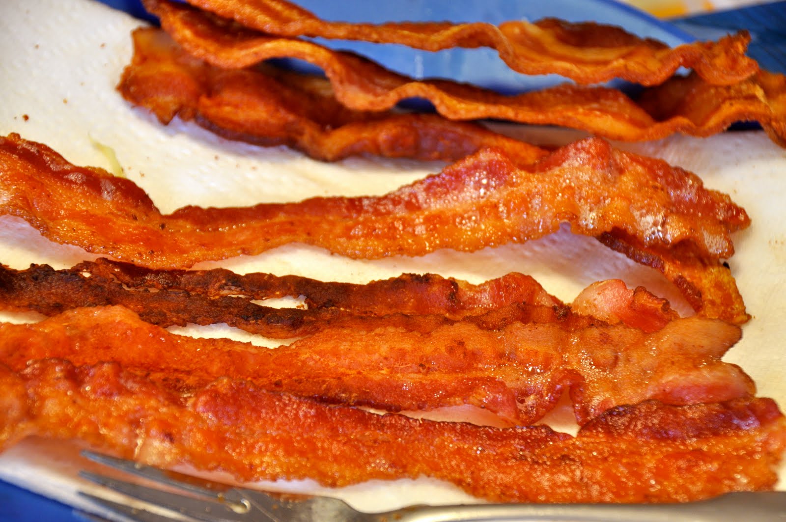 bacon jalapeno popper bacon