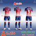 Áo PSG Tự Thiết Kế Đẹp 2019 - Mã ALB PSG08