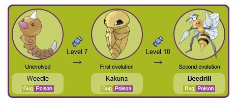 Pokemon Beedrill Evolution Chart