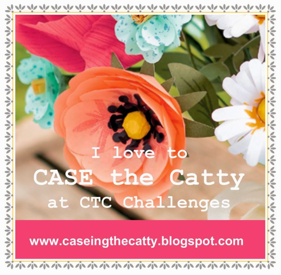  CASE-ing the Catty Challenge #17 - Inspiration from the Occasions Catalogue