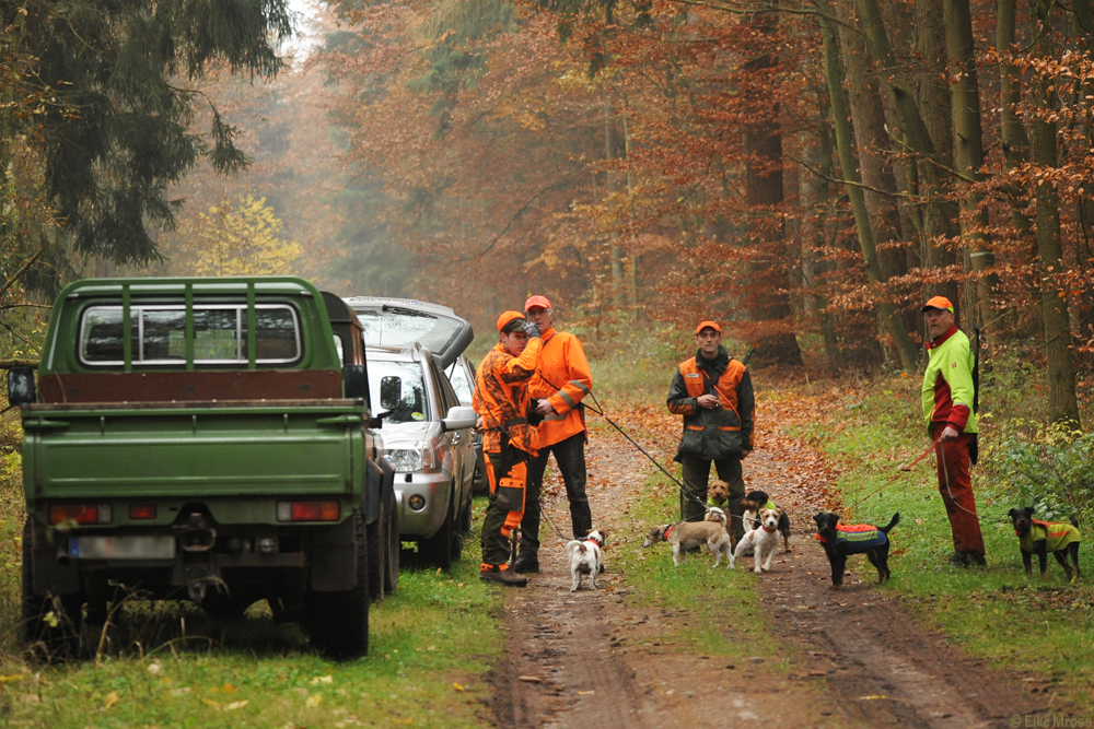 naturfoto-mross: Forst, Wald und Jagd