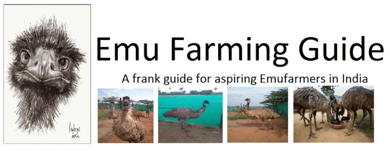 Emu Farming Guide