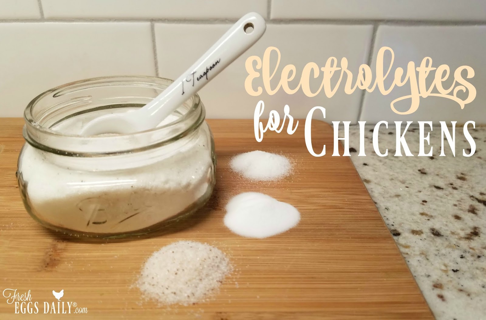 Haywood Cooking Blog How to Make Homemade Electrolytes for Chickens