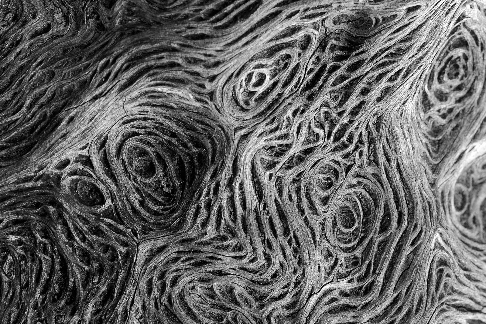 emblanco fotografías ADIVINA, ADIVINANZA [11]