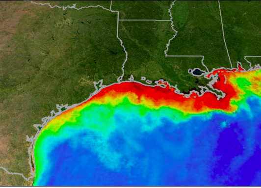 gulf of mexico fire environmental impact gulf of mexico fire environmental impact