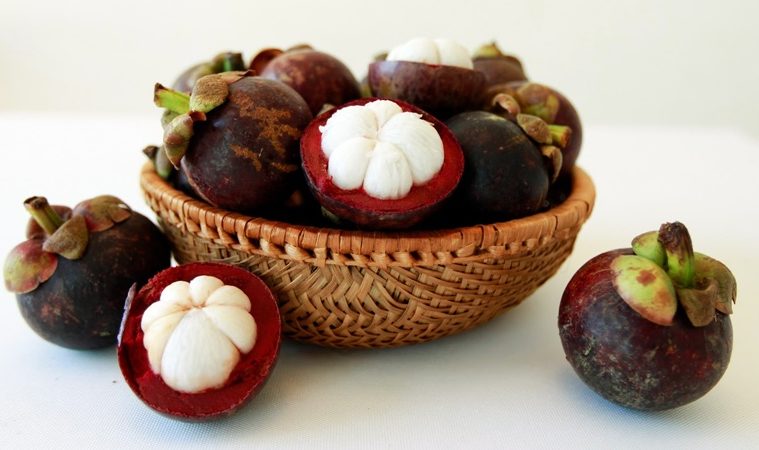 Kulit Manggis ternyata Bisa Diolah Jadi Es Krim yang Enak dan Sehat Kulit Manggis ternyata Bisa Diolah Jadi Es Krim yang Enak dan Sehat