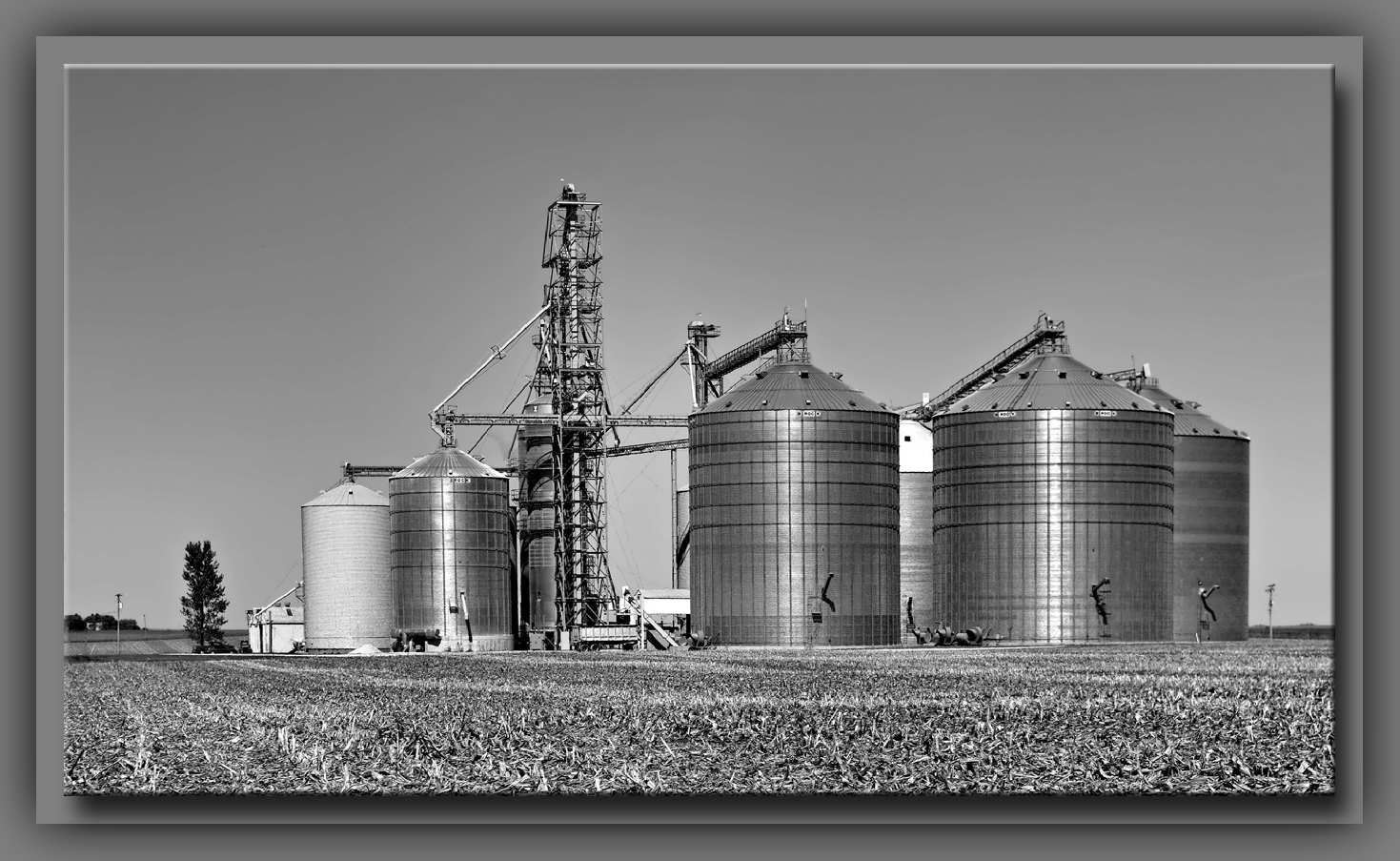 Coulterburg, USA Day 295 Varna, Illinois