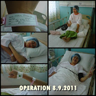 OPERATION 8.9.2011