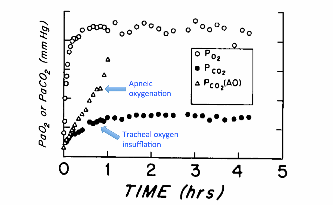 High-flow nasal cannula for apneic oxyventilation