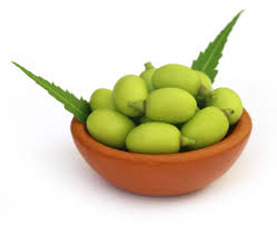 neem health benefits in urdu 3