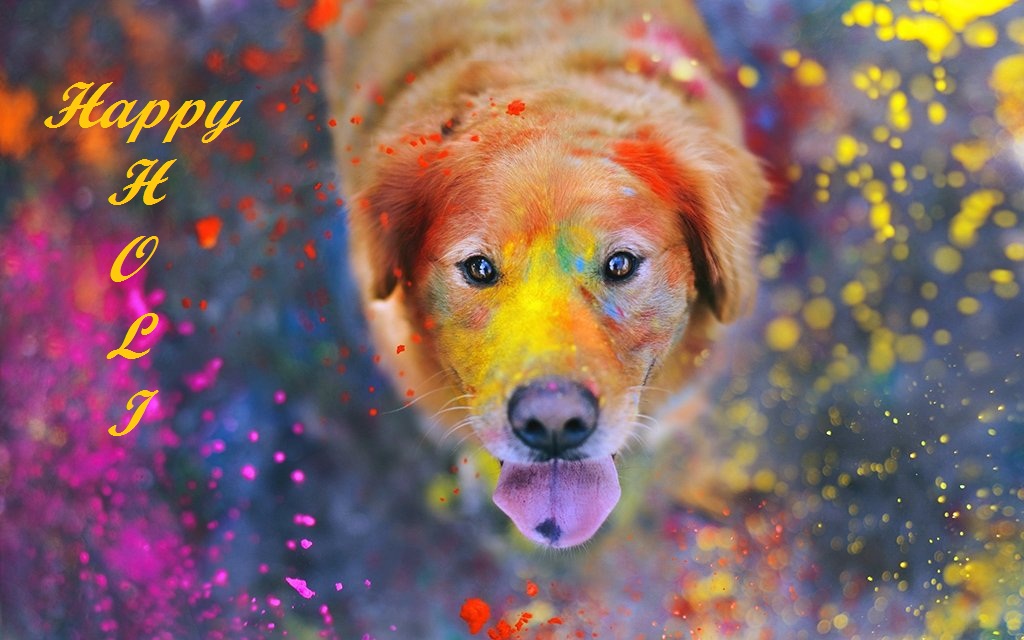 Holi-Images-quotes-wishes