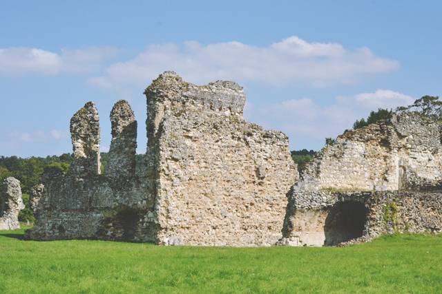 Ruins of Waverley Abbey