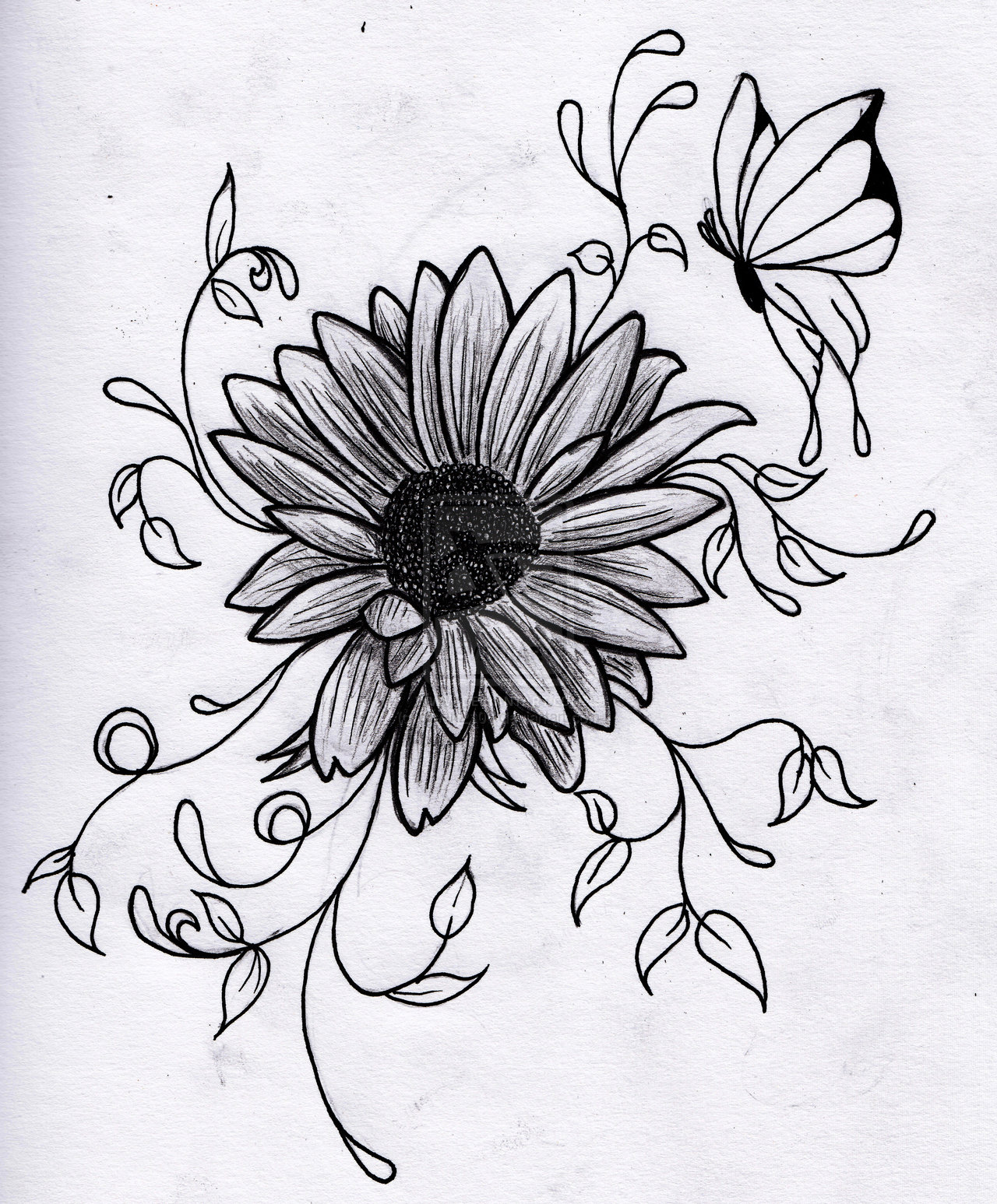 Flower Drawing | 3D Drawing