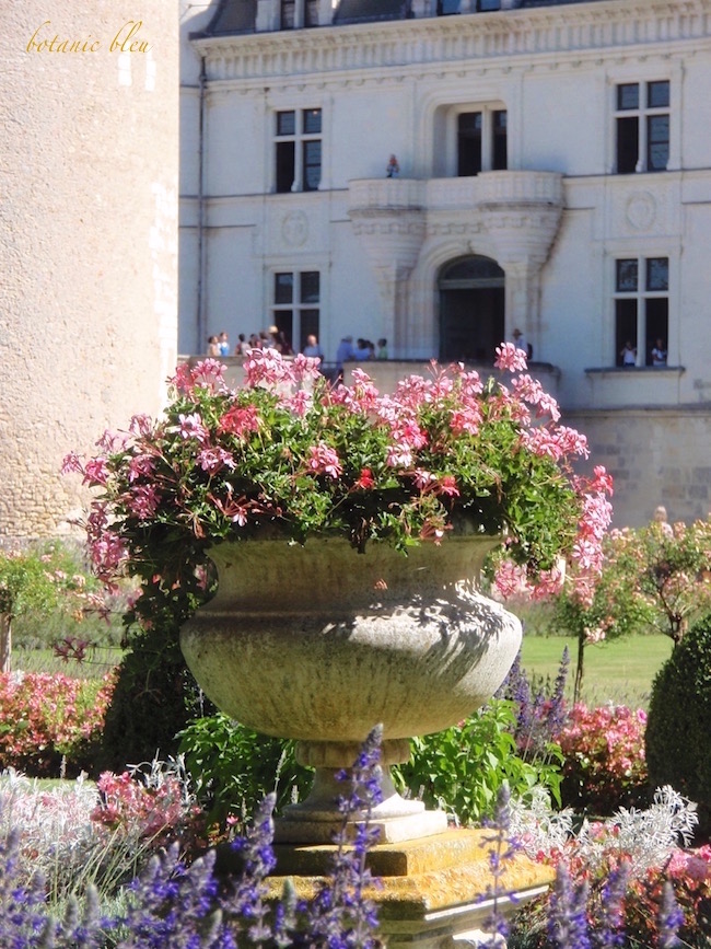 french-design-garden-urn-filled-with-geraniums