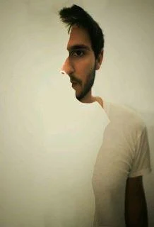 Changing Face Direction, Brain Twisting Optical Illusion