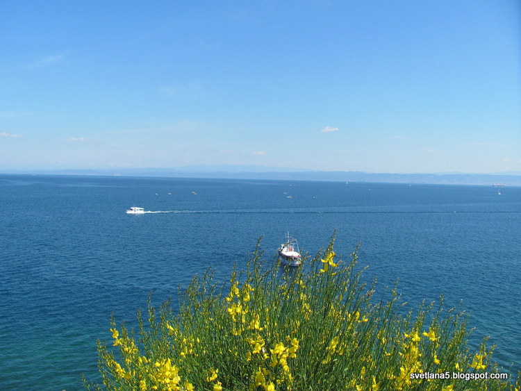 Piran, narava morje
