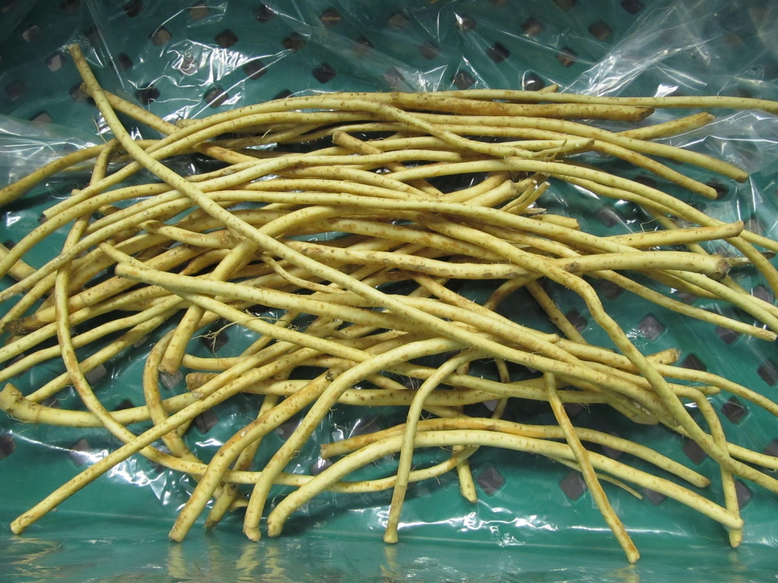 Harmony Valley Farm December 14, 2017 This Week's Box Contents