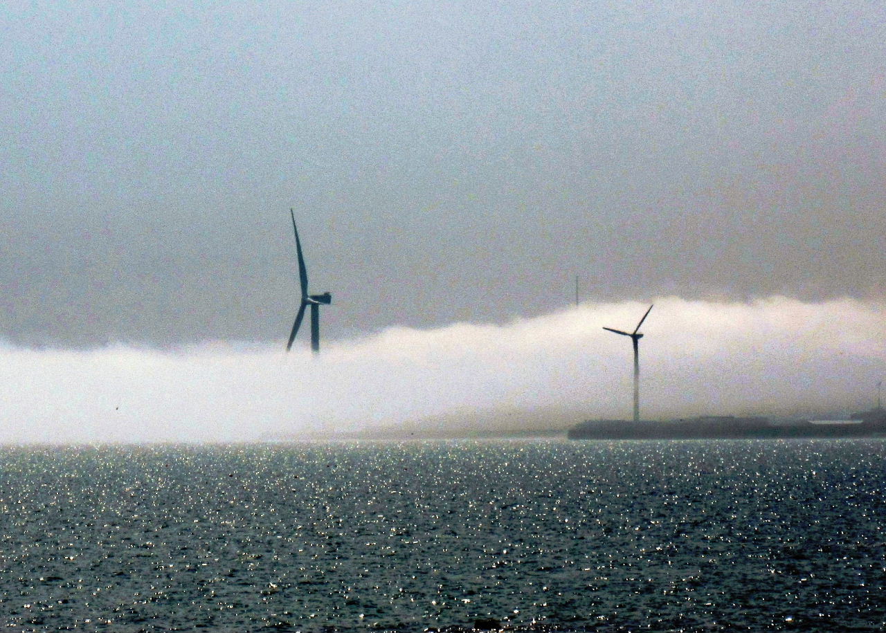 Largo Baywatch Fog Bank Over the Forth