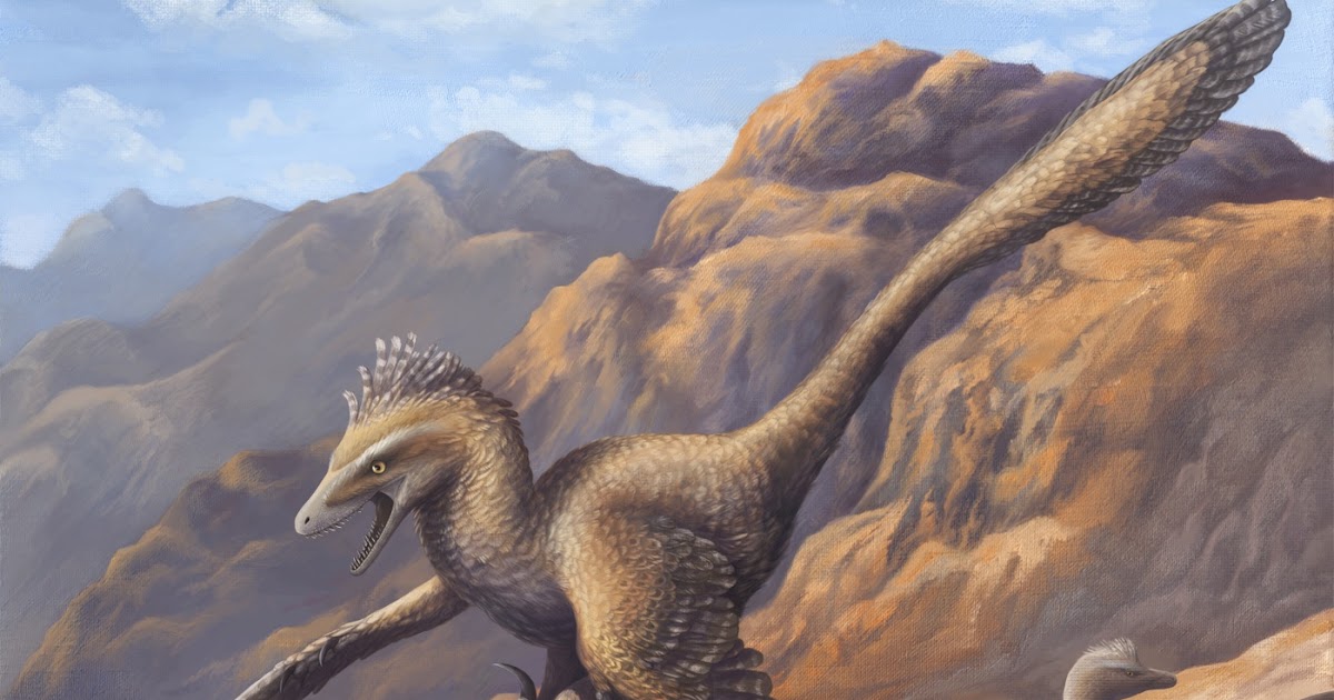 velociraptor accurate