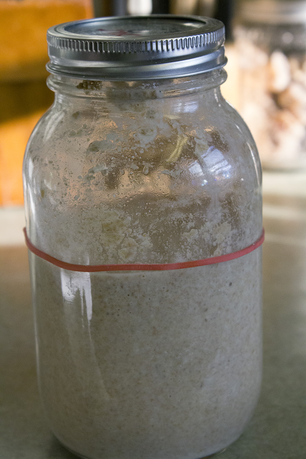 Rurification Robin Edmundson Feeding Your Natural Yeast Start