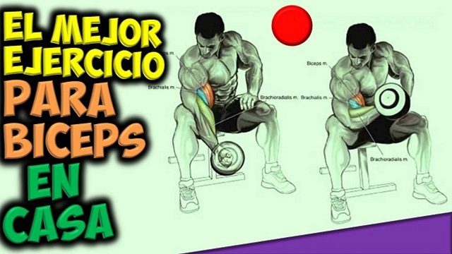 Rutina para biceps con mancuernas