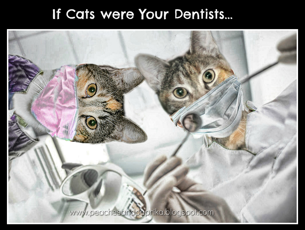 Peaches and Paprika Happy TOOTH TUESDAY!