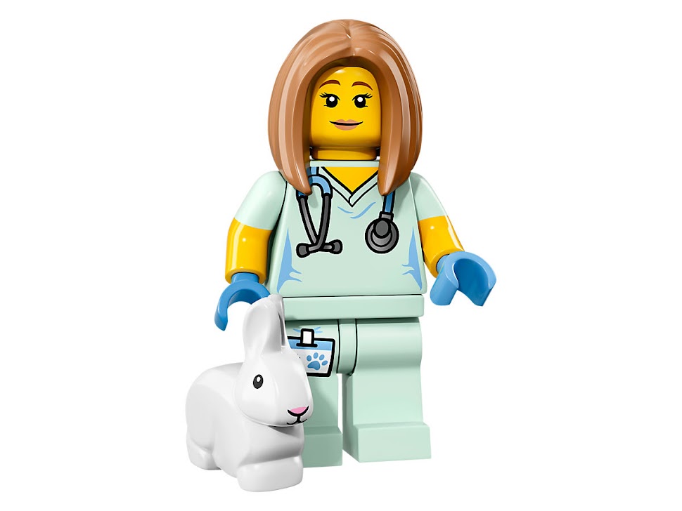 LEGO 71018-5 - Weterynarz