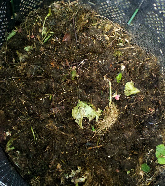How To Turn Compost In A Geobin