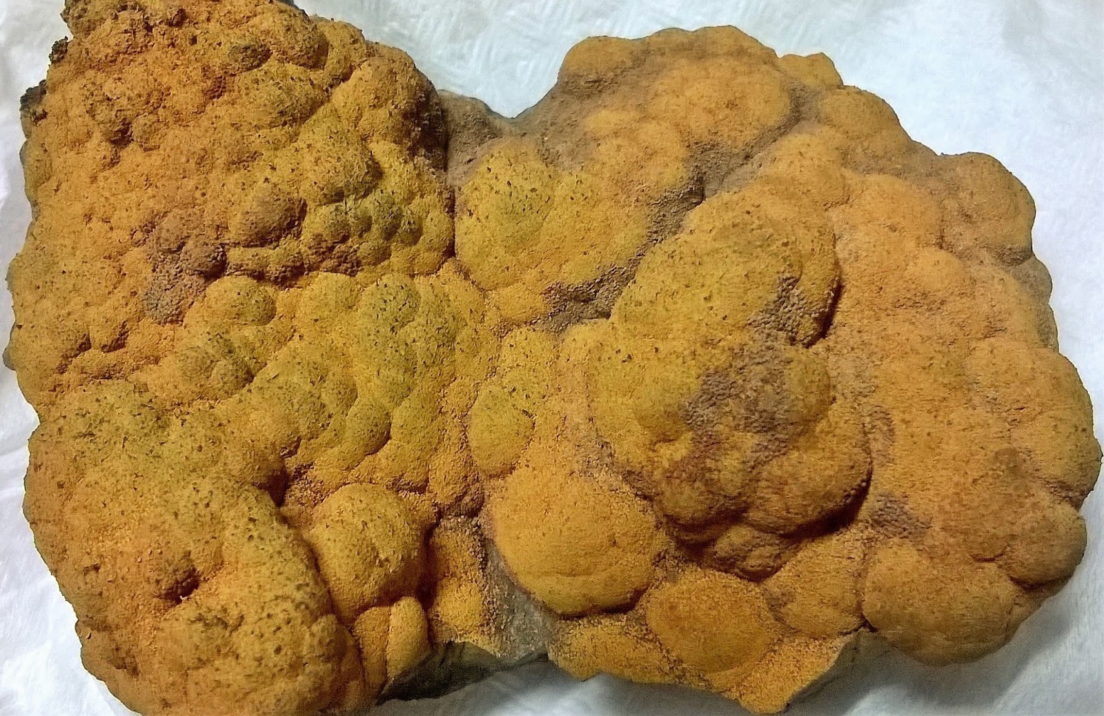 MineralesDB Goethitas de La Arboleda (III)