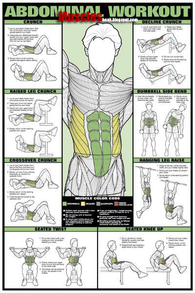 Body Building Exercise Chart Best Exercise Chart | Bodybuilding and Fitness Zone