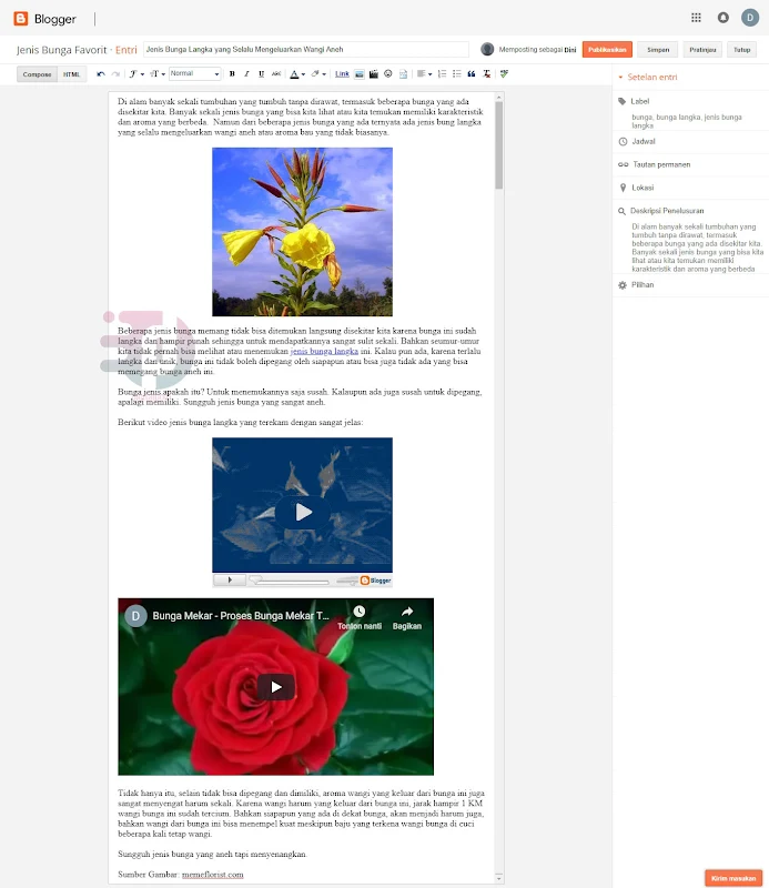 Cara Membuat Artikel Blog, Memasang Gambar dan Video | Digital Poin