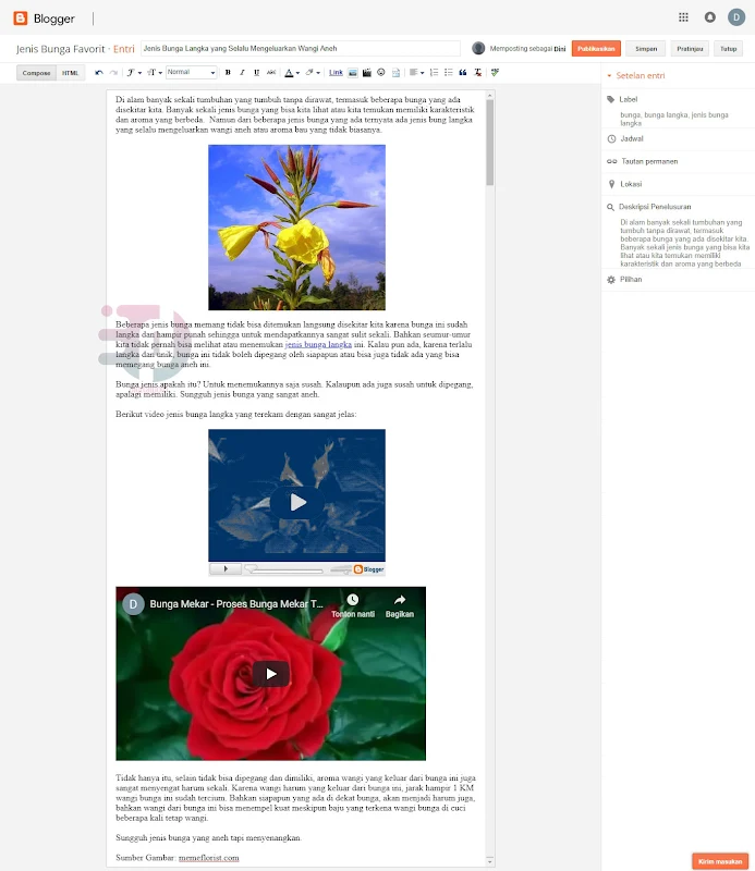 Cara Membuat Artikel Blog, Memasang Gambar dan Video