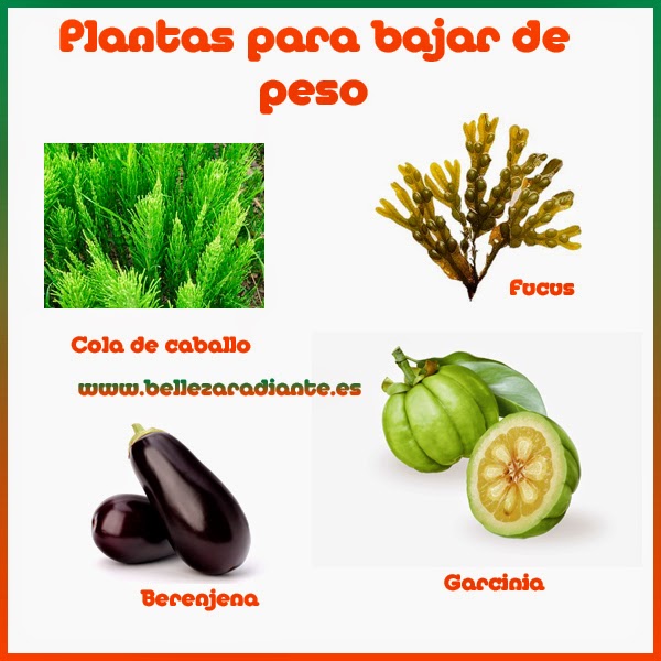 Pastillas para adelgazar durante la menopausia