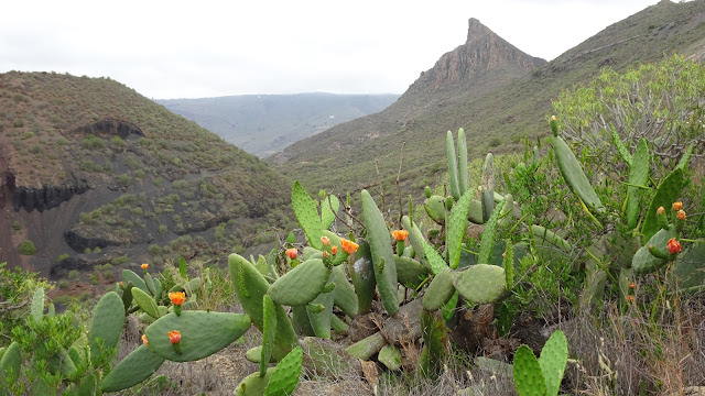 Roque de Jama, Tenerife