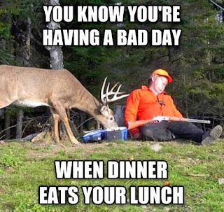 sleeping rifle huntsman has lunchbox stolen by hungry deer funny fail