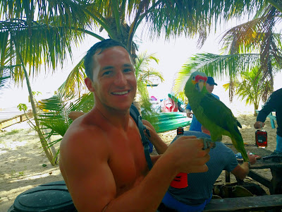 Remax Vip Belize: This bird will sit on your hand