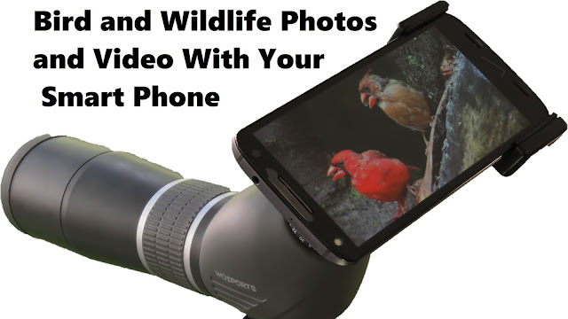 Low-Cost Digiscoping With Your Smart Phone