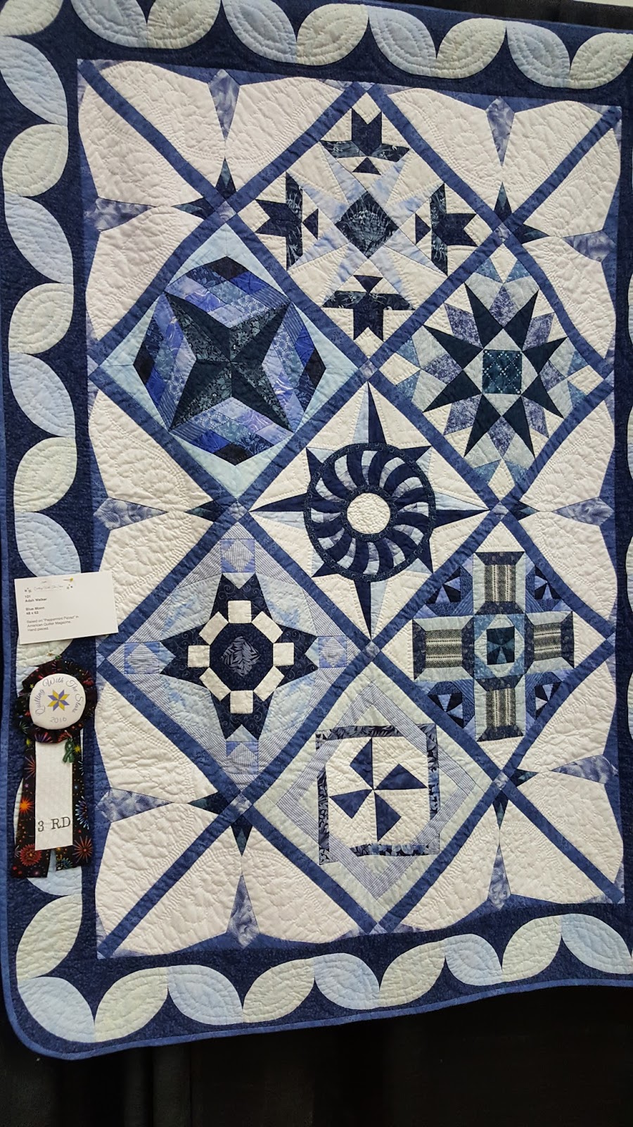 Tales from The Raspberry Rabbits Raleigh Quilt Show Part 2