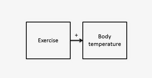 A diagram shows that exercise causes increased body temperature. An arrow flows from exercise to body temperature with a plus sign located above the arrow to indicate a positive relationship.